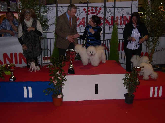 De L'enclos Du Jardin Des Brumes - DE SUCCES EN SUCCES